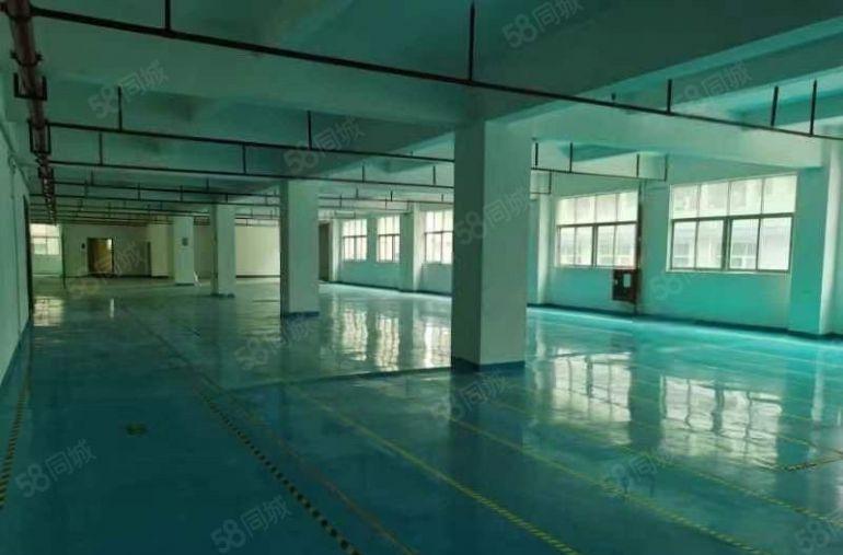 石岩仓库100平起至3000平 低价出租仓库厂房一楼公摊小