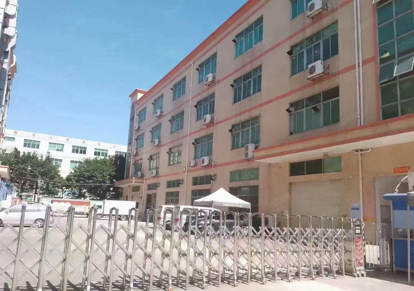 房东出租福永和平2楼1000平方