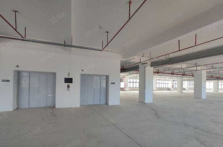 国资委红本厂房出租500平1000平5000平光明区田寮附近