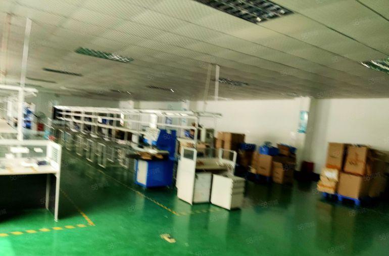 福永原房东1000平带装修厂房出租可分租