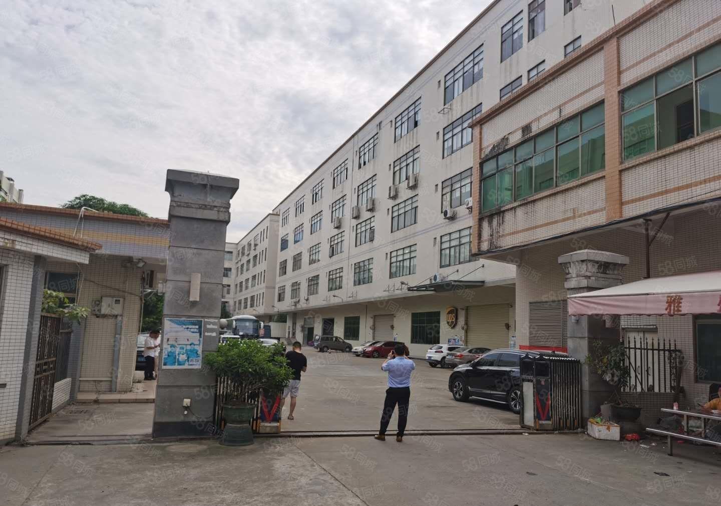 宝安石岩塘头独门独院楼上新出2000平精装修一楼仓库厂房招租