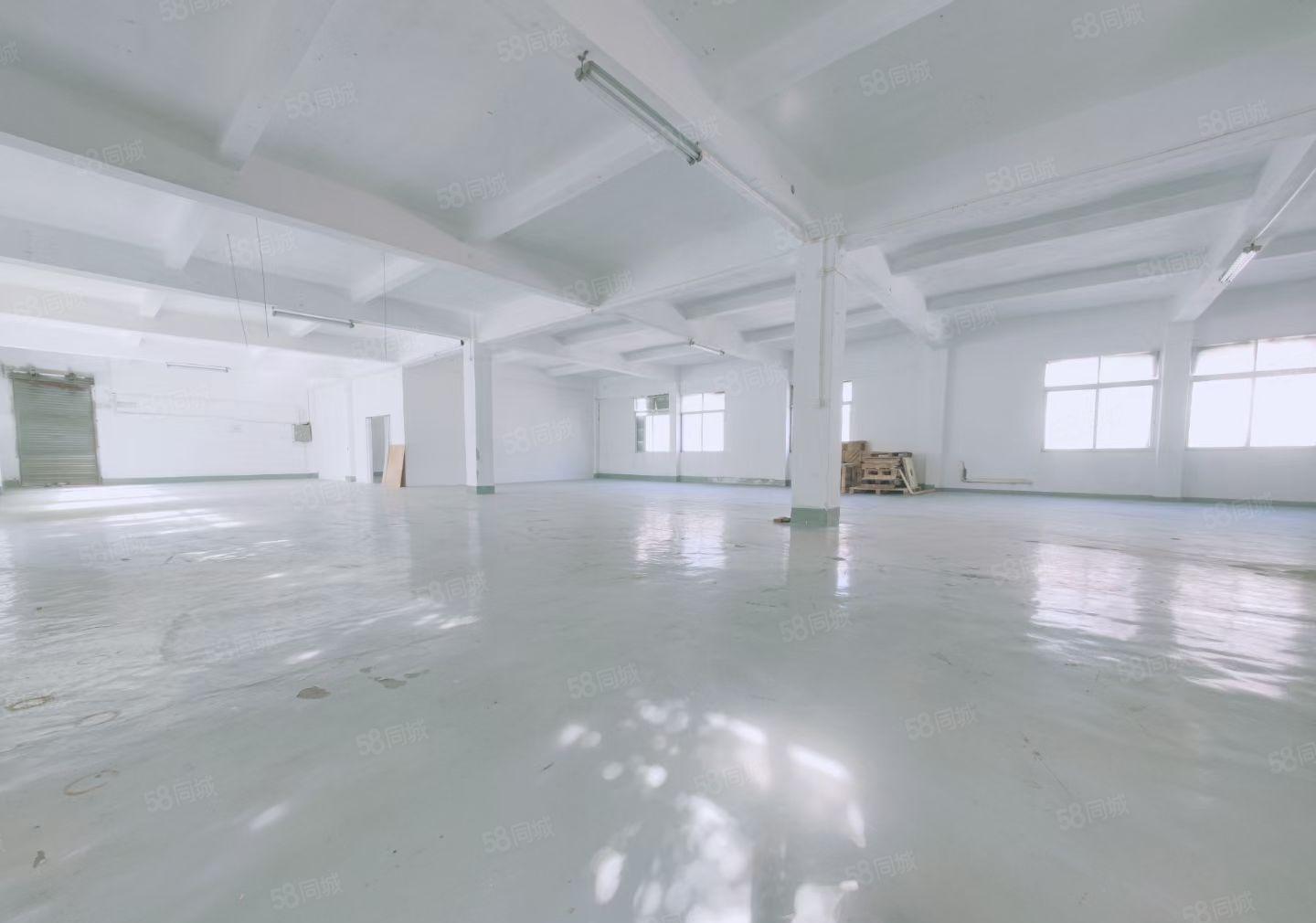 沙井大王山工业园区独门独院6000平大小分租原房东带红本直租