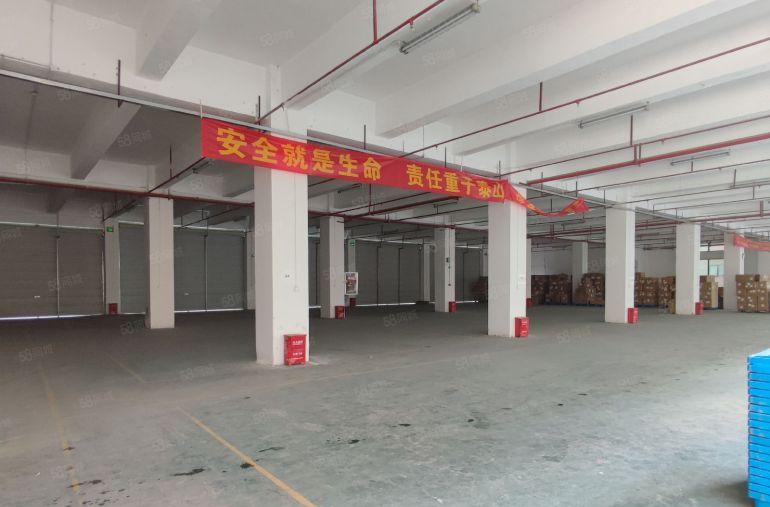 松岗塘下涌工业园原房东一楼500平方厂房仓库超大空地前后开门