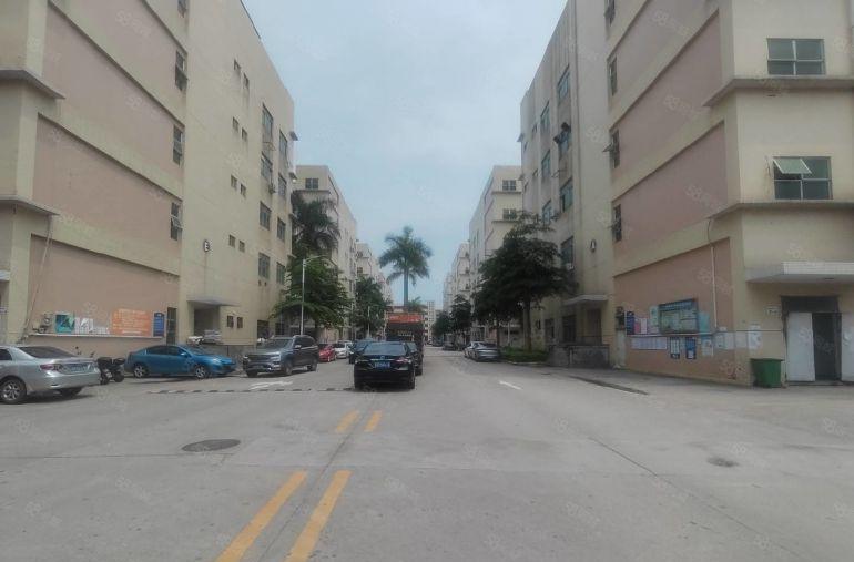 20元起宝安石岩厂房出租200至2000平仓库出租办公室出租