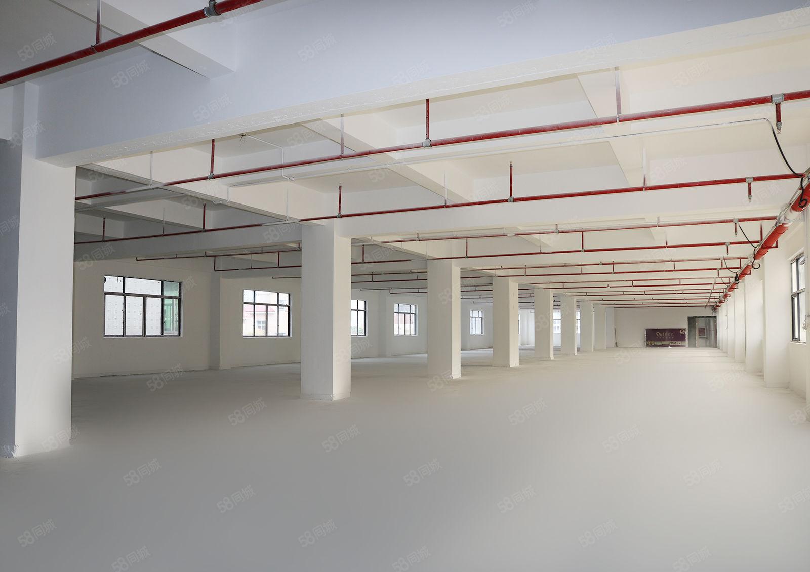 宝安固戍 精装厂房1780平米 带消防喷淋 采光通透