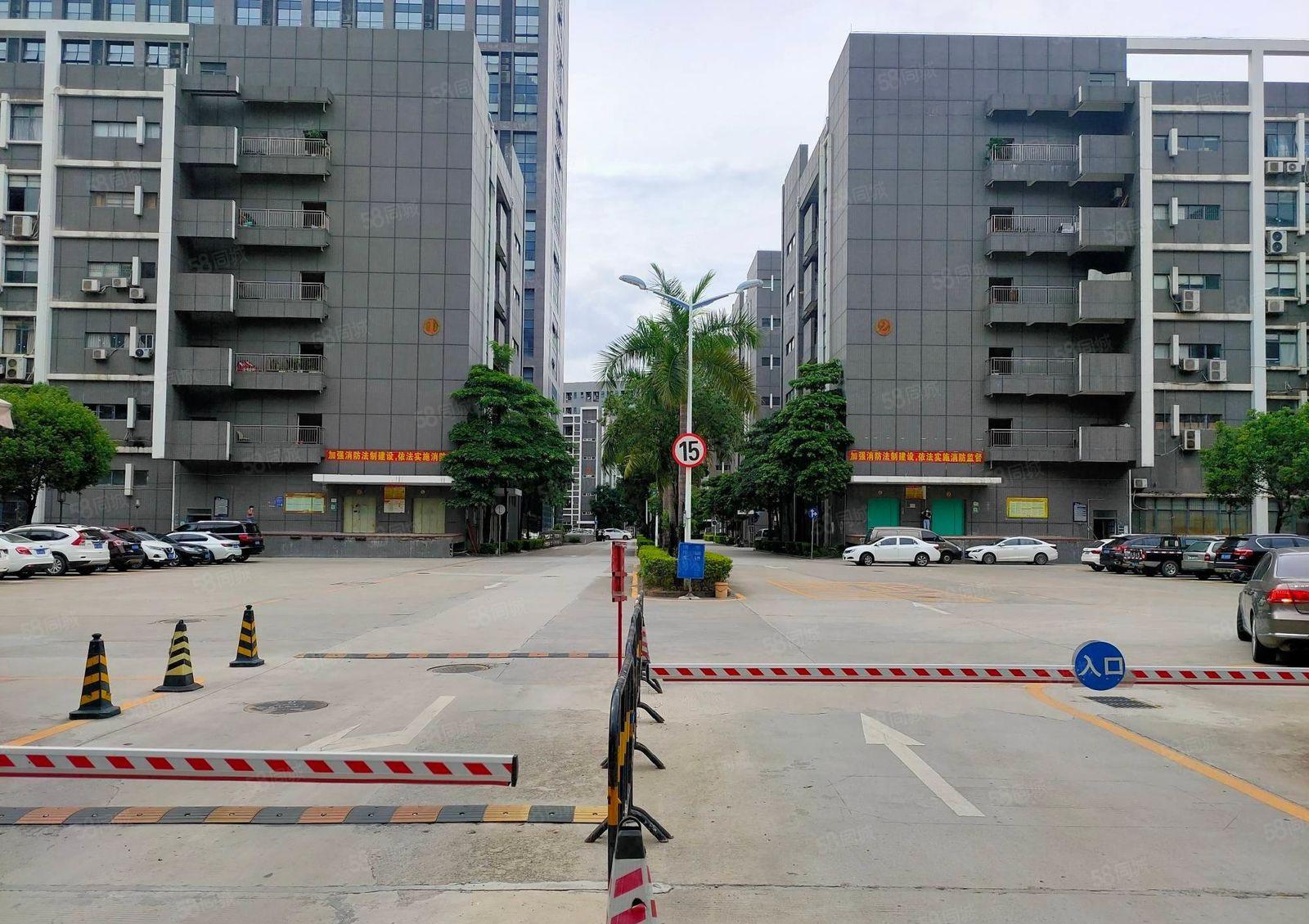 石岩桃花科技园精装500平至10000平电商仓库厂房出租