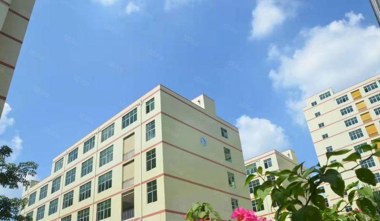 西乡地铁口原房东楼上1000平厂房出租，带装修，300平起租