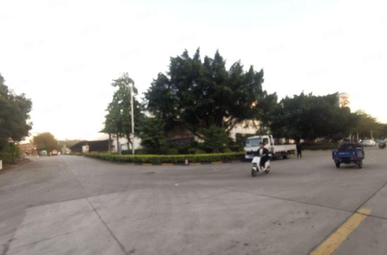 松岗外环高速出口1.8万平方钢构厂房出租可分租，15米高