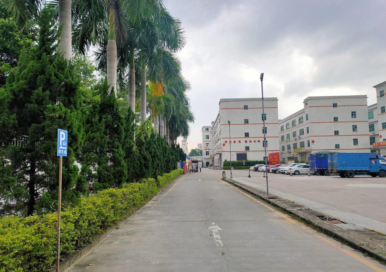 石岩红本精装修1300平厂房出租可分租工业园低价仓库出租