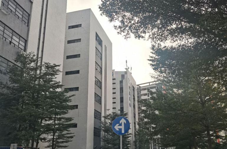 松岗楼上带装修厂房出租，免租期两个月