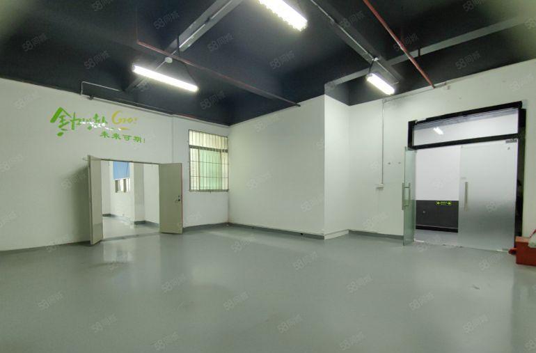 西乡全新厂房仓库出租！60平120平260平365平500平