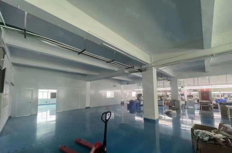 松岗燕川原房东红本厂房大型工业园区楼上整层1870平方精装修