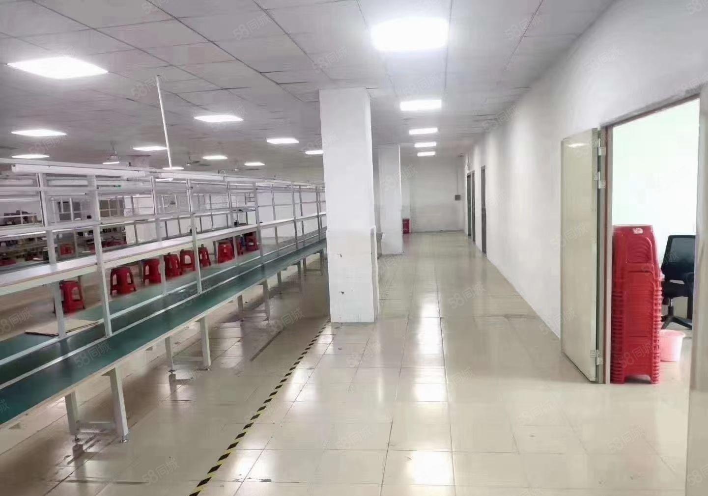 光明桃花创新园80至8000平精装研发办公室仓库厂房出租