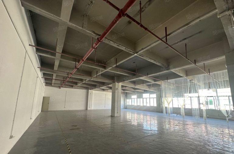 石岩一楼厂房出租内空400至1000平出租带装修工业园原房东