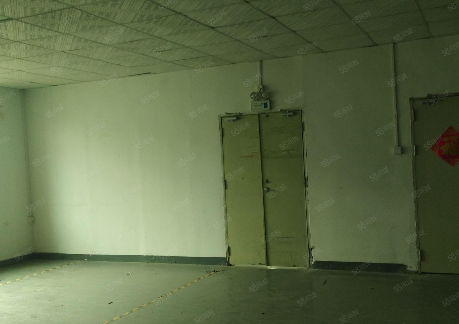 西乡固戌原房东楼上精装修1000平！