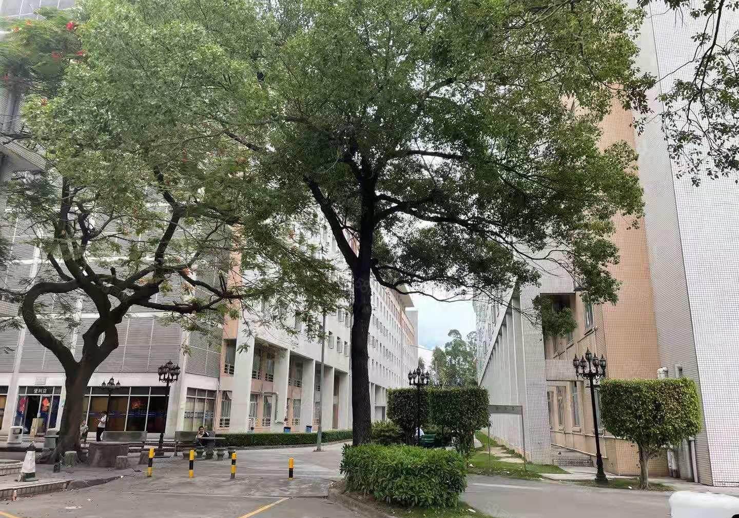 福永宝安机场附近300平至1500平一楼精装修低价仓库厂房出