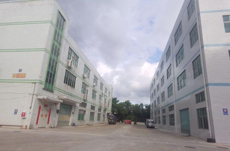 石岩厂房精装800平 环境优美 精装修低价厂房出租分租