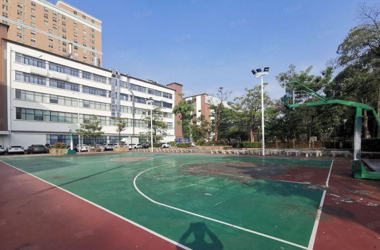 西丽200至2000平花园式工业园厂房仓库办公室低价出租