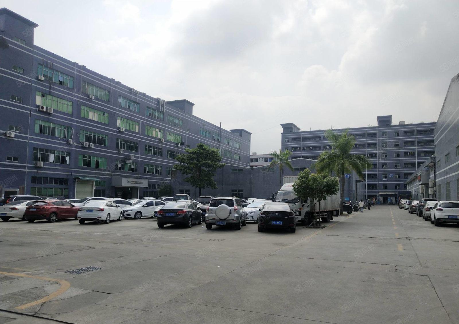 可分租石岩上屋原房东工业园精装修1000平办公室仓库厂房出租