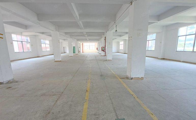 使用率高沙井工业园原房东直租500至2000平方厂房仓库出租