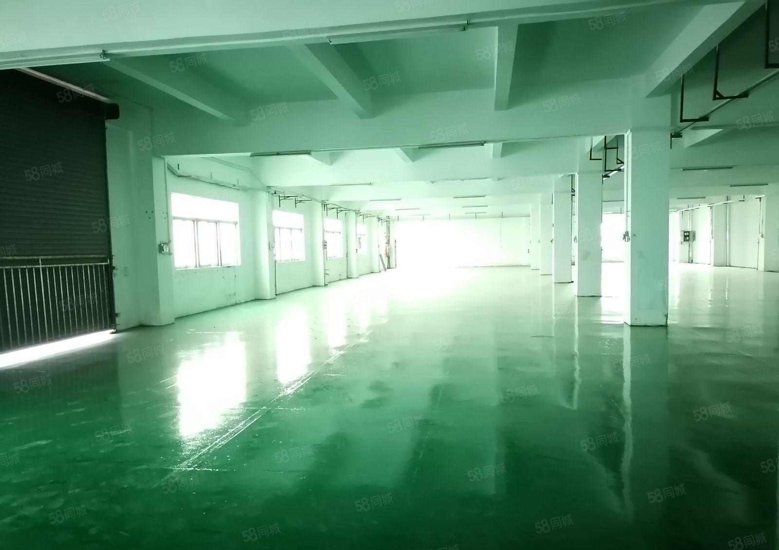 沙井大王山1500平全新厂房出租