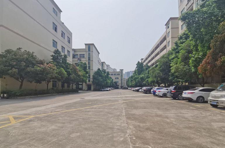 松岗原房东新出1000平至5000平厂房仓库出租独院大小分租