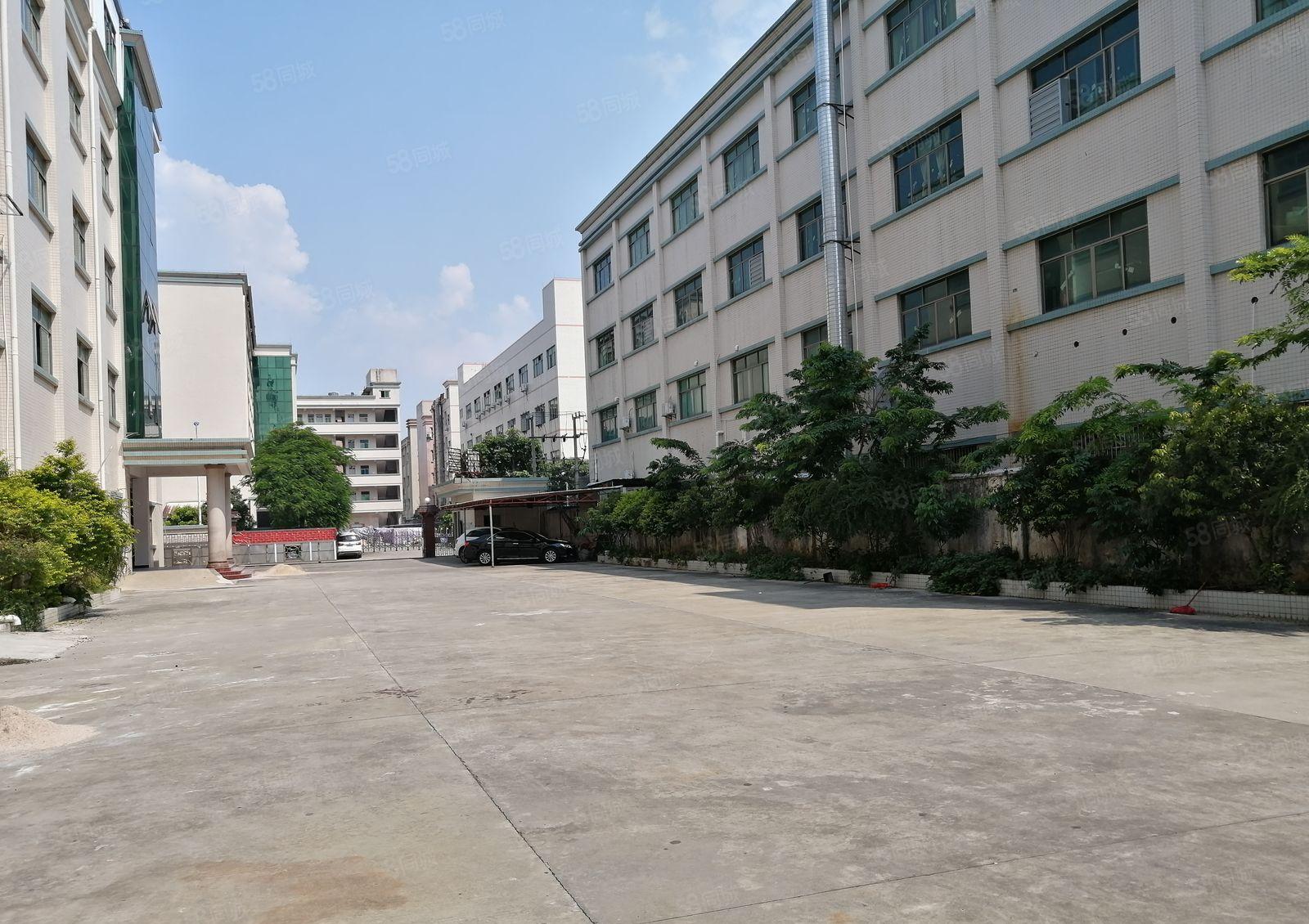 石岩新出8000平独院红本可分3百5百1千平厂房仓库出租合租