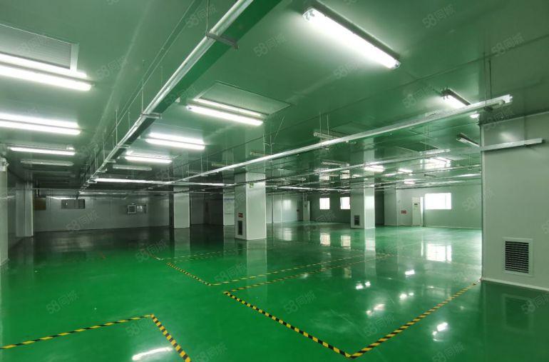 宝安兴东地铁站创谷园区，268平536平电商办公室生产仓库