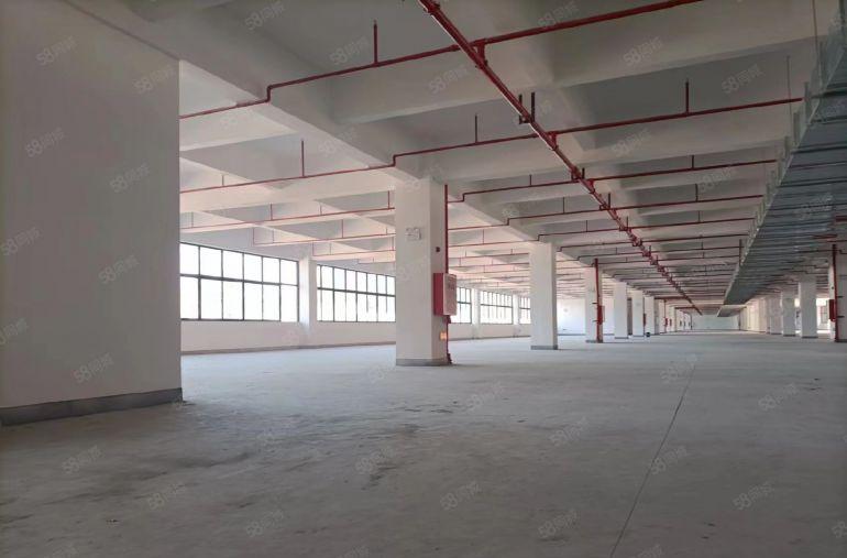 2000平米起租安静大型工业园区暗盘图片找我发笔记