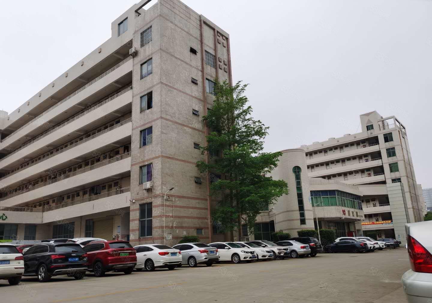 松岗大田洋工业区原房东2楼3楼厂房仓库出租300平分租