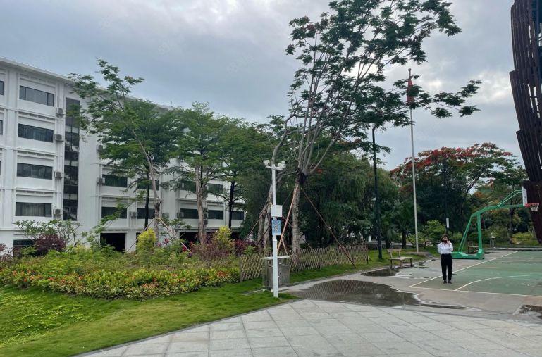 福永高新园区1200平带装修低价厂房仓库出租分租有补贴桃花源