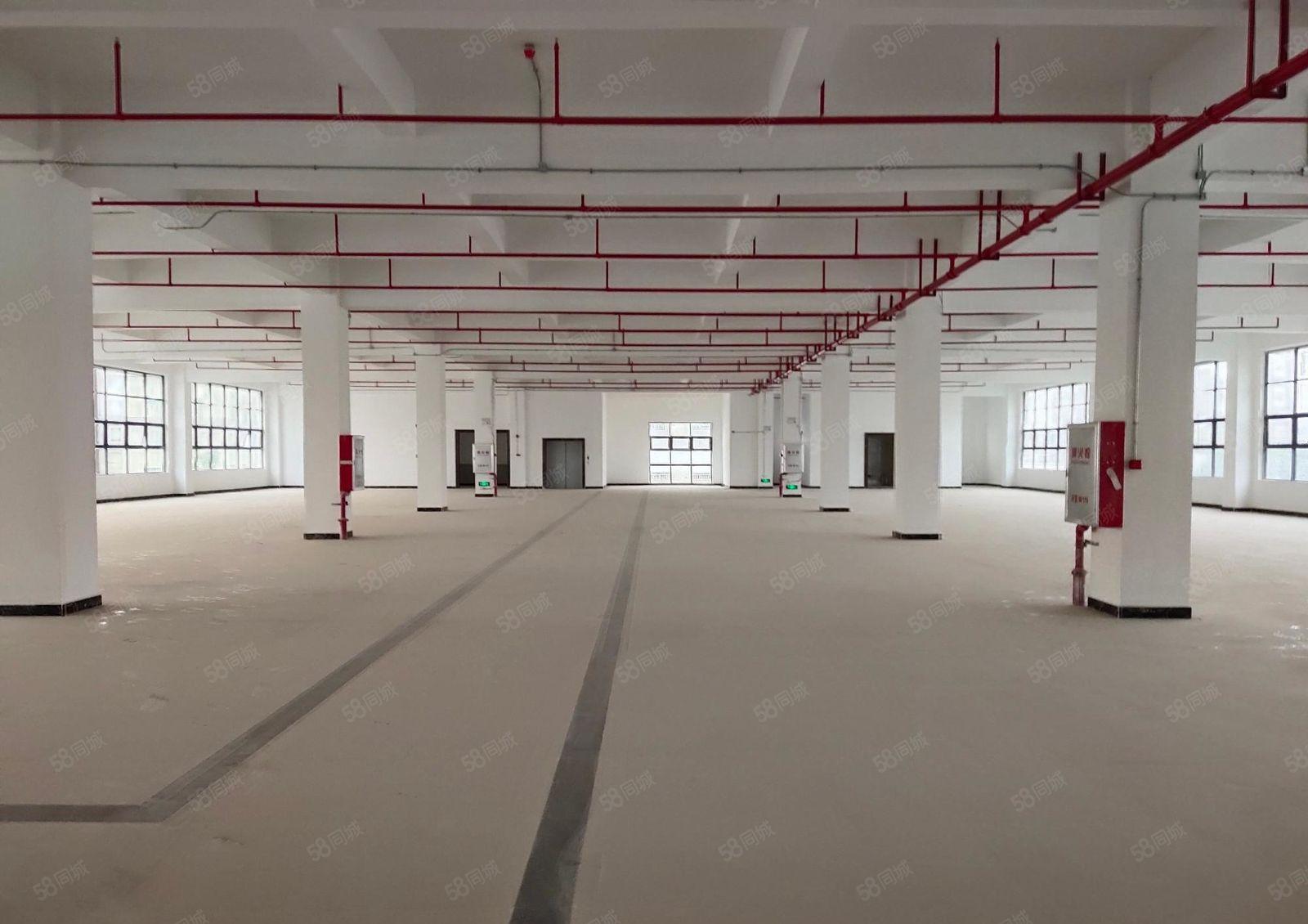 石岩汽车站旁楼上1800原房东红本厂房出租实际面积无公摊