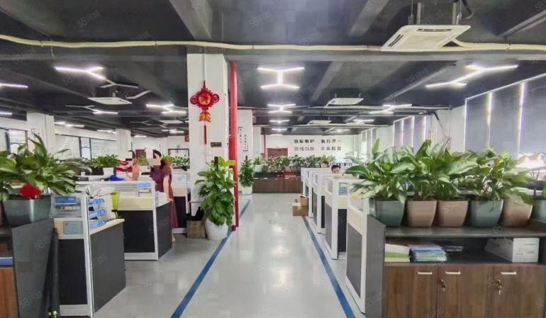 西乡兴东地铁厂房楼上2000平方整层精装修办公室仓库低价出租