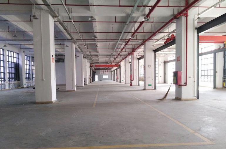 松岗200平500平厂房电商办公小加工仓库厂房出租分租