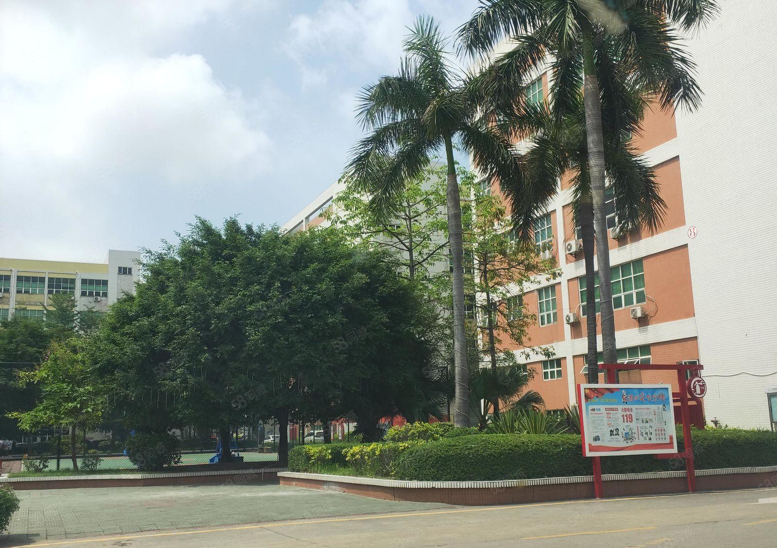 沙井黄埔楼上800 村委厂房 水电到位 带办公室拎包生产