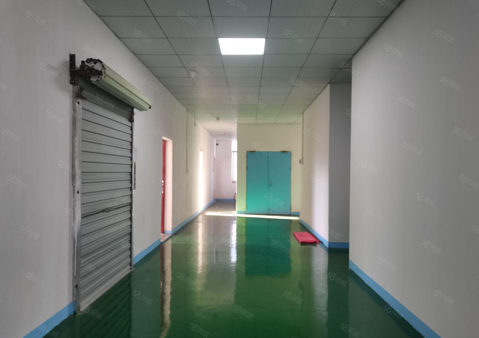 松岗碧头厂房出租500平起工业园区整租分租电商贸易仓库一楼