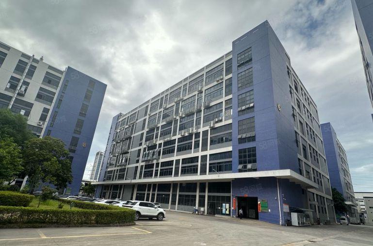 合同可签10年西乡固戍原房东红本独栋厂房出租2万平米可分租