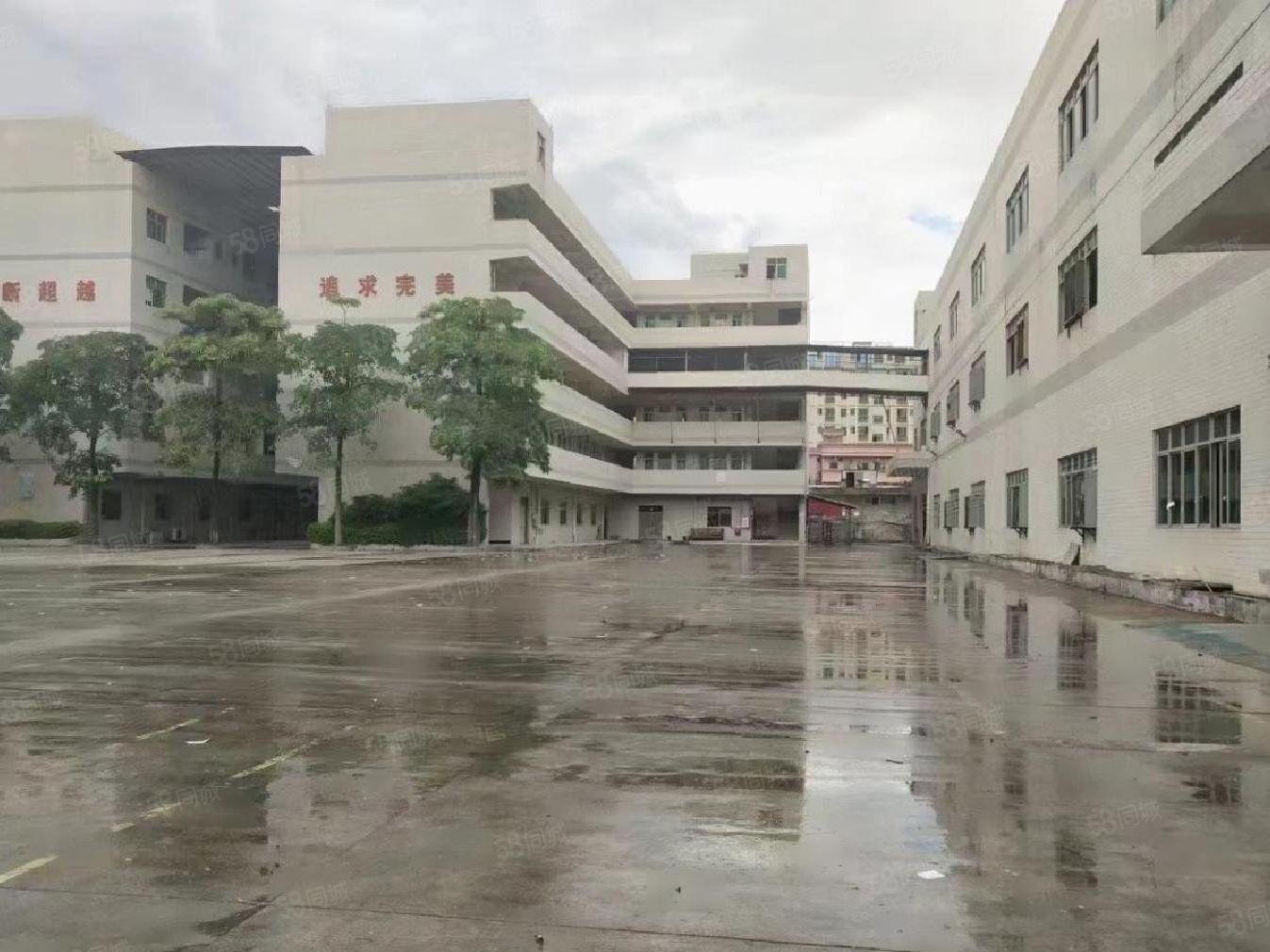 松岗红本厂房出租300平起租 独院15000平 价格实惠