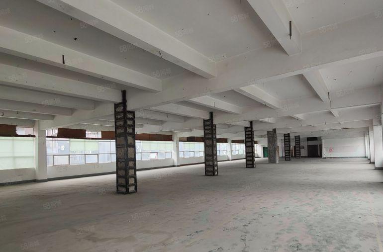 优越地段近南山特价26元每平！整层1850平500平起租