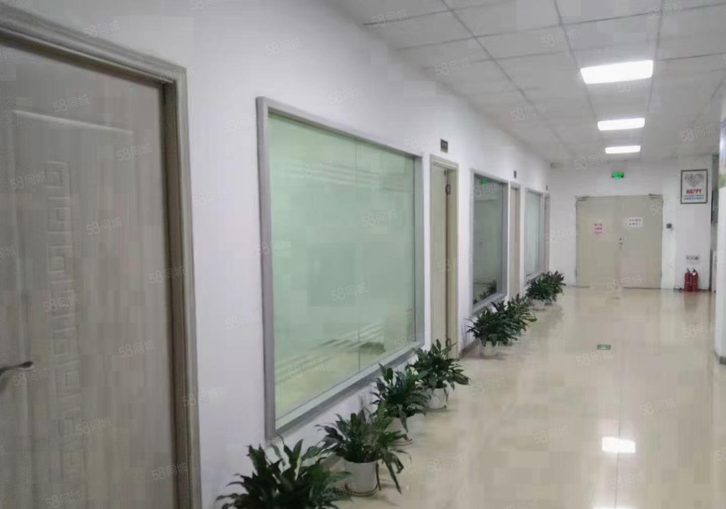 料坑1200平米带装修原房东厂房出租