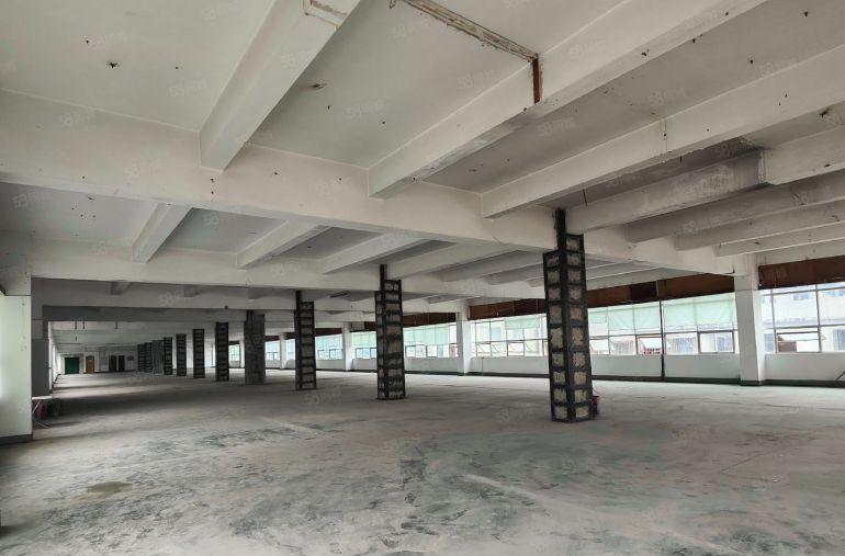 优越地段近南山特价26元每平！整层1850平500平起租