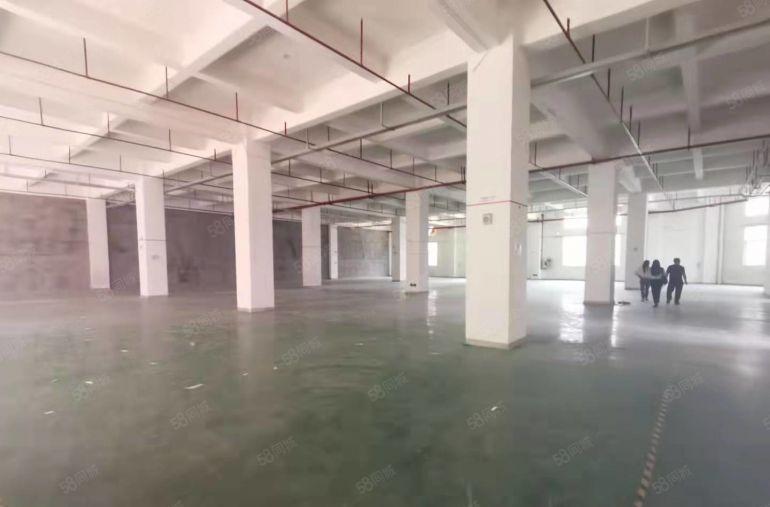 福永机场工业园区带装修一楼1500平厂房仓库出租分租空地大