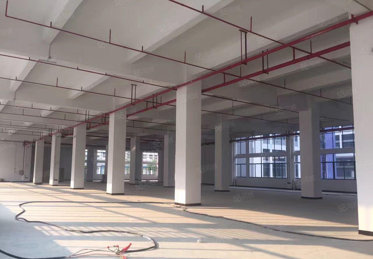 松岗原房东直租红本厂房49000平米独门独院花园式出租