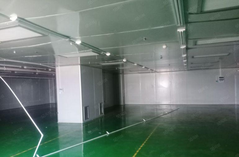 石岩楼上带装修1000平米无尘车间招租，无转让费用