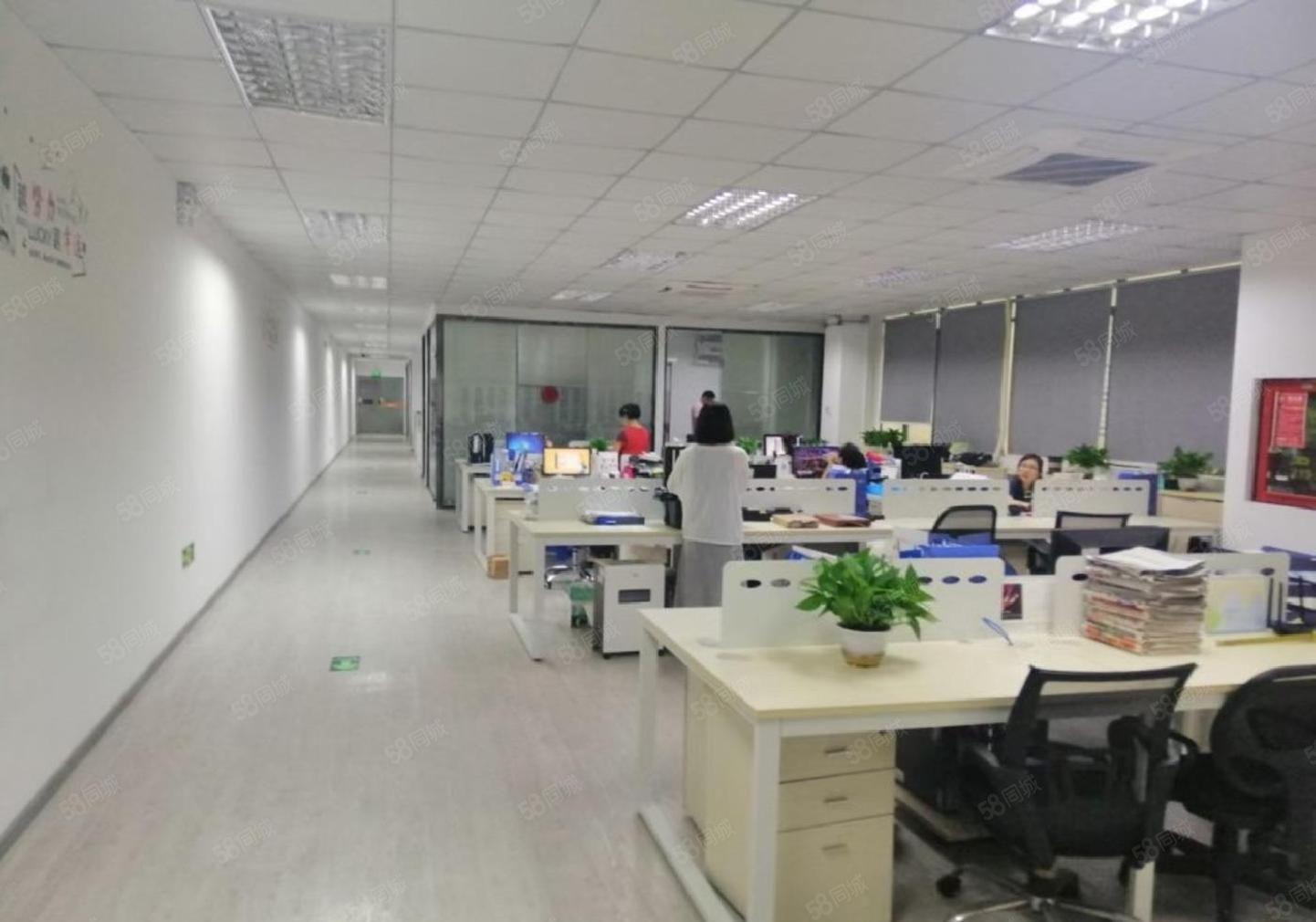 松岗罗田楼上红本厂房出租1481平带精装修办公室