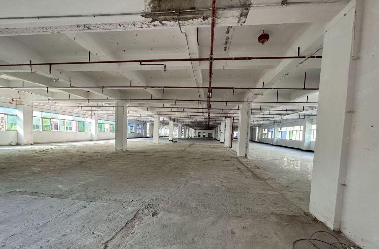 超大空地松岗107国道旁原房东一楼600平带牛角厂房仓库出租