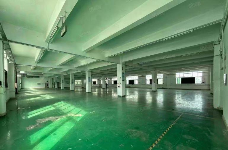 沙井新发工业园1.5万红本厂房出租大小可分200起分一楼6米