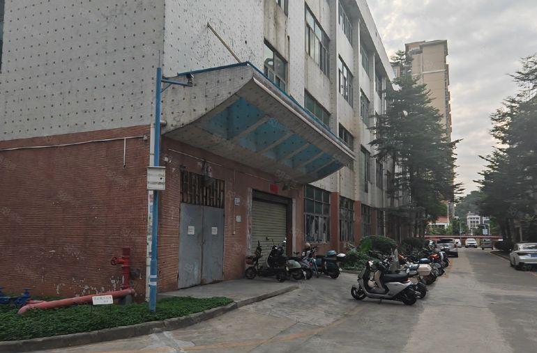 沙井大型工业园区厂房出租整租分租均可