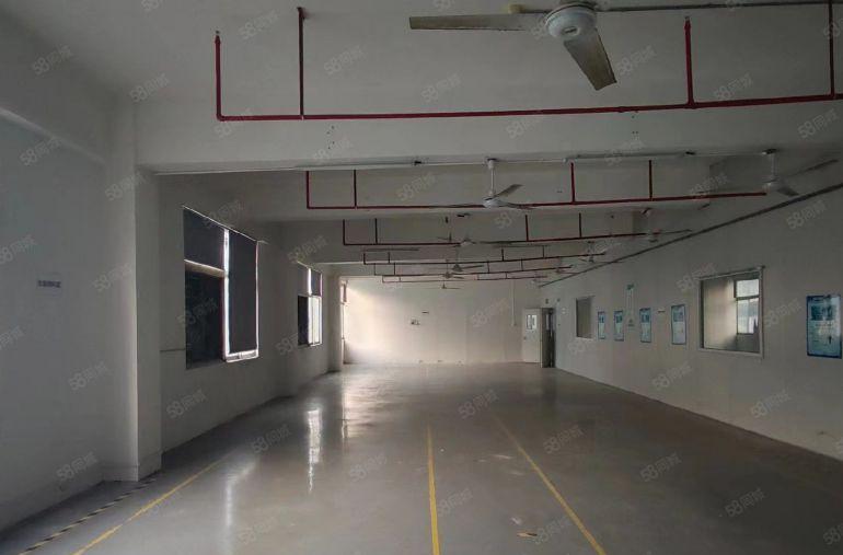 松岗溪头大型工业园原房东精装修1000平方厂房仓库低价出租