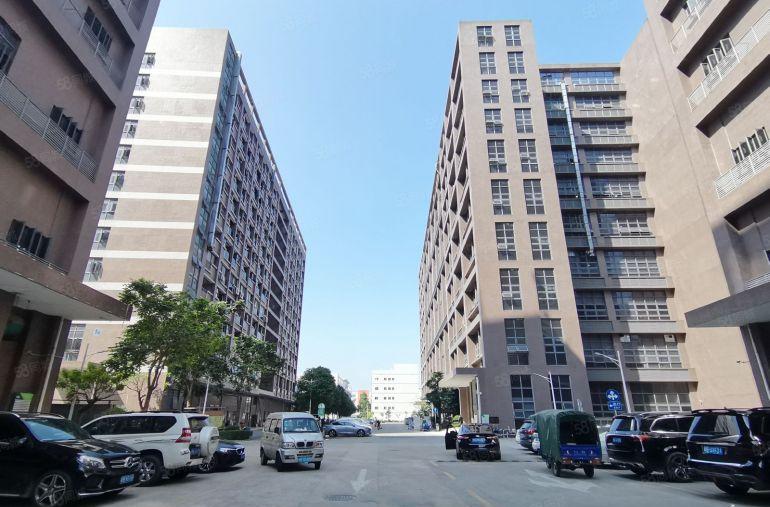 松岗107国道大田洋1800平精装修红本工业园区低价厂房出租